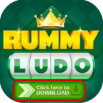 Rummy Ludo Game