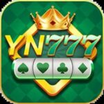 YN 777 App